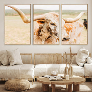 Texas Longhorn Wall Art Canvas Print – Framed Spotted Cow