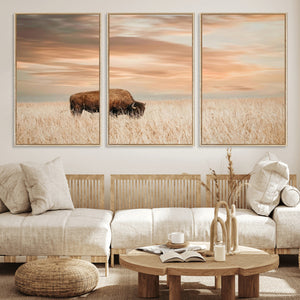 MyCanvas -
