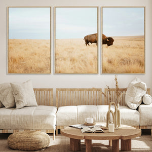 Buffalo Wall Art Canvas Print – Framed Western Wildlife