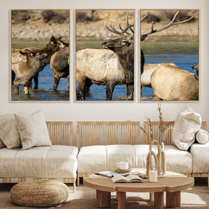 Wild Elk Wall Art Canvas Print – Framed Neutral Wildlife