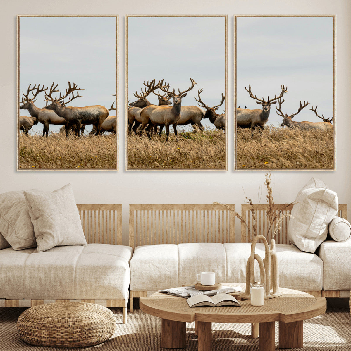 Elk Herd Wall Art Canvas Print – Framed Wildlife Photography