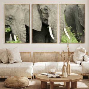 Wild Elephant Wall Art Canvas Print