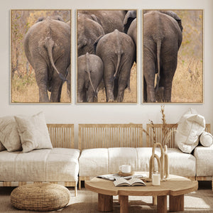 Wild Elephant Wall Art Canvas Print