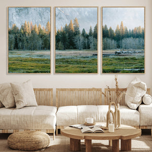 Forest Meadow Wall Art Canvas Print, Pine Tree Landscape