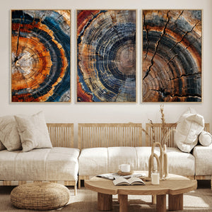 Tree Ring Canvas Wall Art, Wood Cross Section Triptych