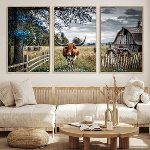 Texas Longhorn Canvas Wall Art, Rustic Farm Barn Bluebonnet