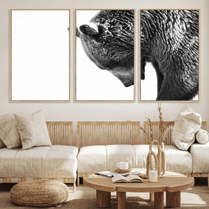 Black and White Grizzly 399 Bear Canvas Print Wall Art |