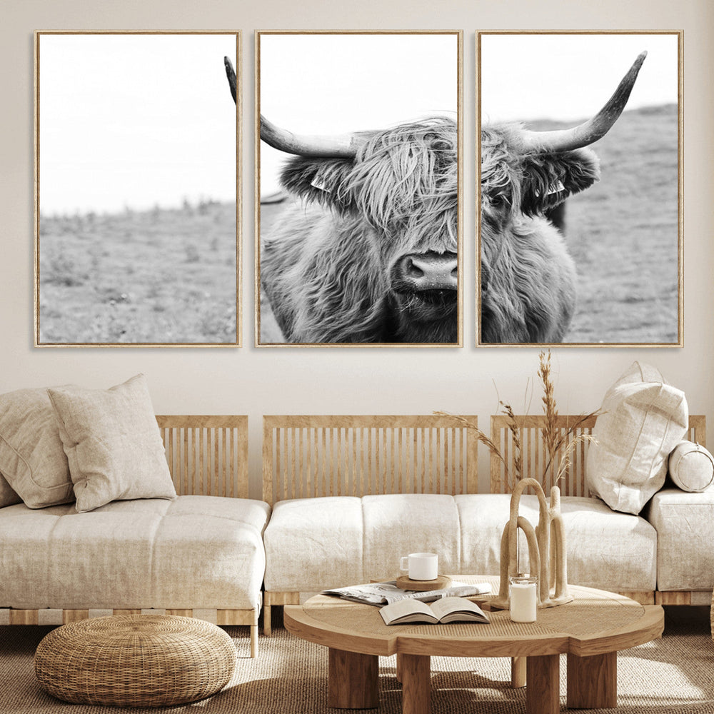 Newfoundland Cow Art Wall Art, Black White Cow Art Wall Art