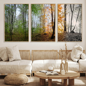 Four Seasons Wall Art Forest Canvas Print – Triptych
