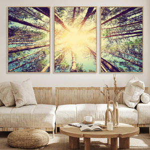 Tree and Sunshine Canvas Print
