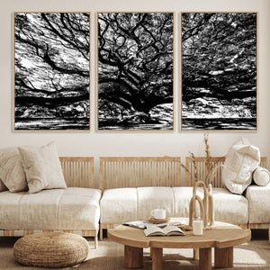 Mighty Angel Oak Wall Art | Angel Oak Tree Art Print