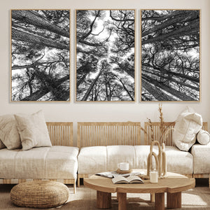 Trees Contemporary Art Canvas Print