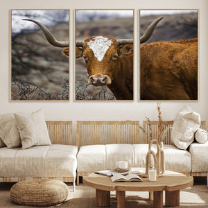 Texas Longhorn Canvas Wall Art - Longhorn Steer Canvas Wall