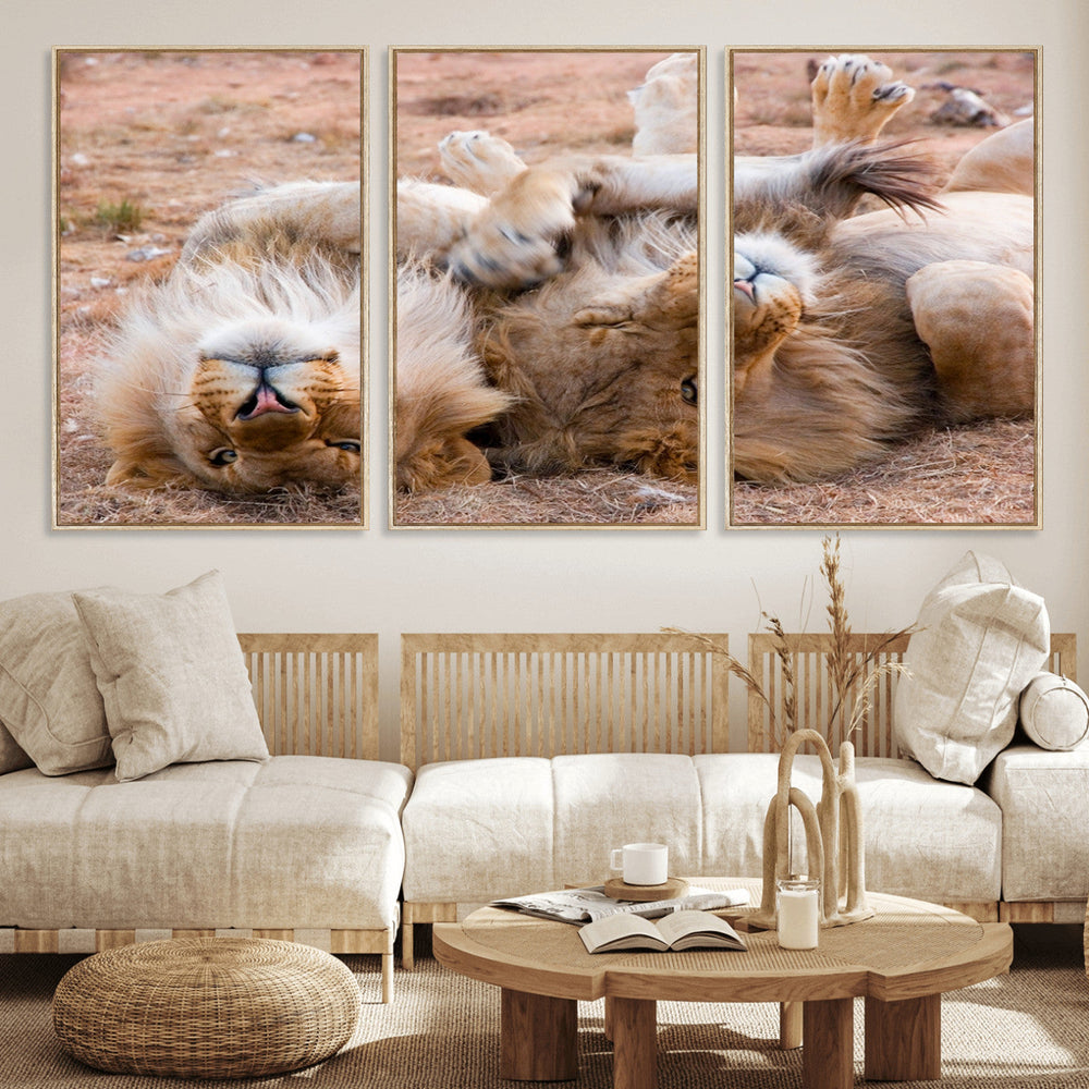 Lion Pair Wall Art Canvas Print – Framed Wildlife Scene with