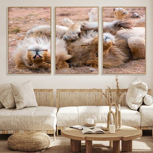 Lion Pair Wall Art Canvas Print – Framed Wildlife Scene with