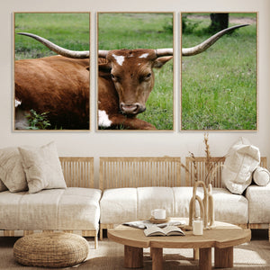 Longhorn Cow Animal Wall Art Canvas Print