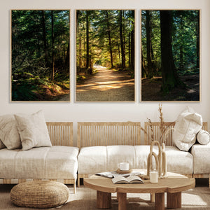 Sunlit Forest Pathway Canvas Print | 3 Panel Large Nature
