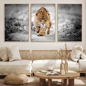 Jaguar Wall Art Canvas Print - Majestic Big Cat in Focused