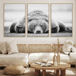 Resting Grizzly Bear Wall Art Canvas Print – Majestic Lazy