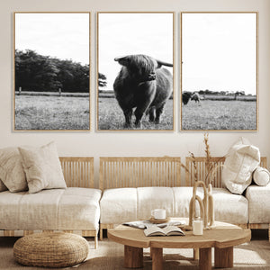 Black and White Highland Cow Wall Art Canvas Print | Rustic