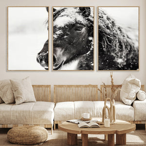 Framed Black and White Horse Wall Art | Ready to Hang and