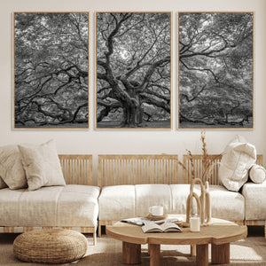 Majestic Angel Oak Tree Black and White Canvas Print – Multi