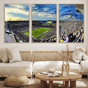 Framed USF Bulls Football Team Print - Tampa Raymond James