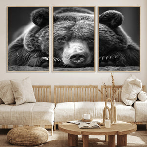 Resting Grizzly 399 Bear Canvas Print | Ready to Hang Wall