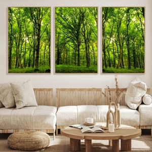 Lush Green Forest Canvas Print | 3-Panel Forest Wall Art |