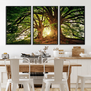 Majestic Ancient Tree Wall Art, NatureCanvas Print, Woodland