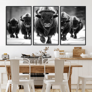 American Bison Art | Buffalo Herd Wall Art Canvas Print, BW