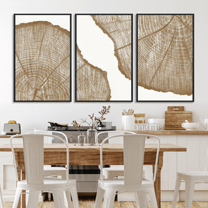 Rustic Brown Tree Ring Wall Art Canvas Print – Framed and