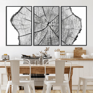 Rustic Tree Ring Wall Art Canvas Print – Framed and Ready to