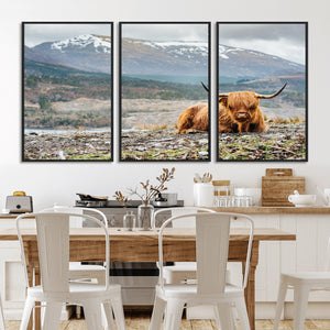 Highland Cow Horn Farm Wall Art Canvas Print