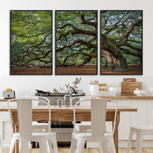 Historic Tree Wall Art – Framed Mossy Branch Canvas Artwork,