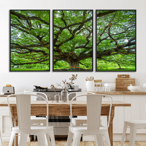 Oak Tree Wall Art Print, Forest Canvas Wall Art for Home and