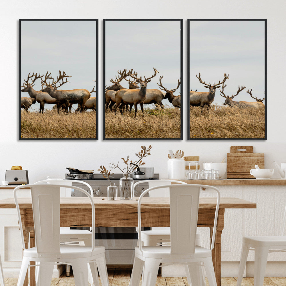 Elk Herd Wall Art Canvas Print – Framed Wildlife Photography