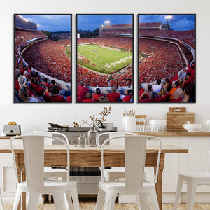 Dooley Stadium Wall Art, Sports Arena Canvas Print, Dooley