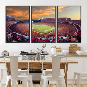 Dooley Stadium Wall Art, Sports Arena Canvas Print, Dooley