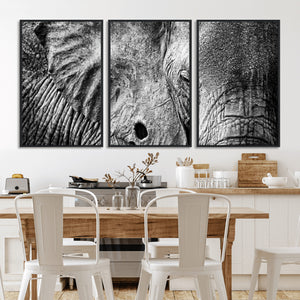 Wild Old Elephant Wall Art Canvas Print