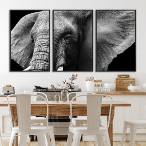 Big Elephant Close Up Wall Art Canvas Print