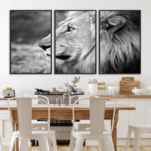 Lion Wall Art Canvas Print – Framed Majestic Wildlife