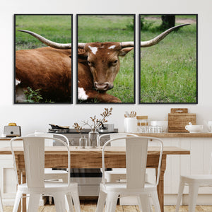 Longhorn Steer Canvas Wall Art – Rustic Nature Triptych