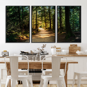 Sunlit Forest Pathway Canvas Print | 3 Panel Large Nature