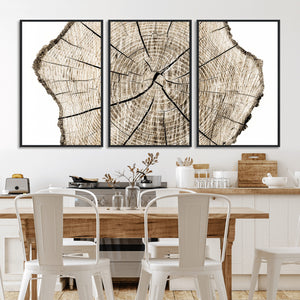Abstract Wood Tree Ring Wall Art - Ready to Hang Minimalist