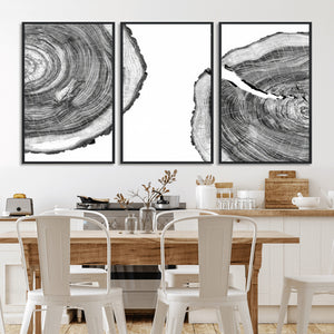 Abstract Large Tree Rings – Minimalist Black and White Wood
