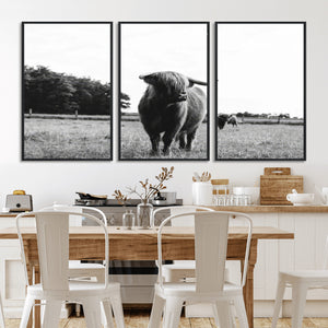Black and White Highland Cow Wall Art Canvas Print | Rustic
