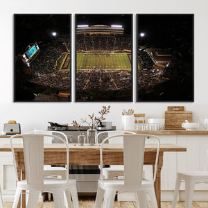 Wake Forest University Demon Deacons Canvas Printi, Football