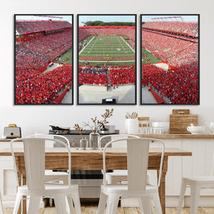 Rutgers Scarlet Knights Football Team Print - Piscataway SHI