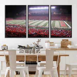 Rutgers University Scarlet Knights Football Team Print -